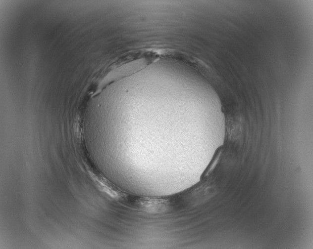 X0000080740670200701021148