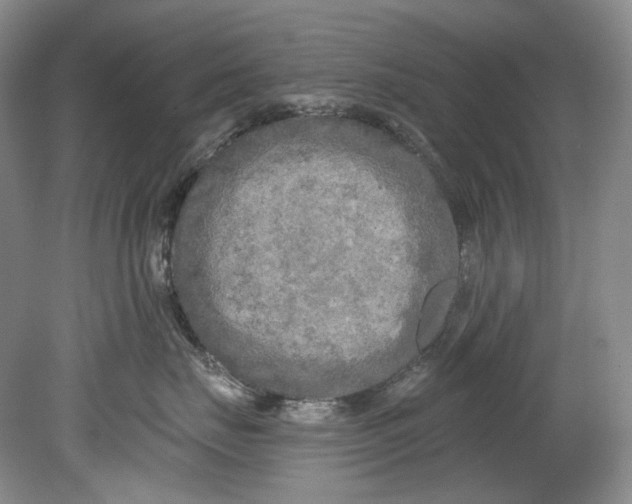 X0000080740671200701021148