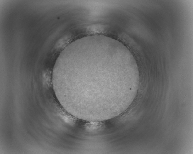 X0000080740672200701021148