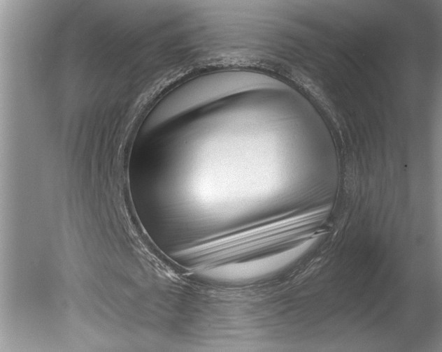 X0000080740673200701021147