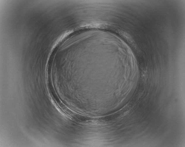 X0000080740678200701021147