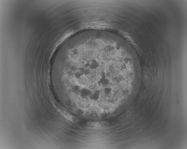 X0000080740679200701021147