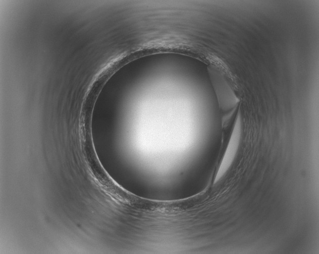 X0000080740680200701021147