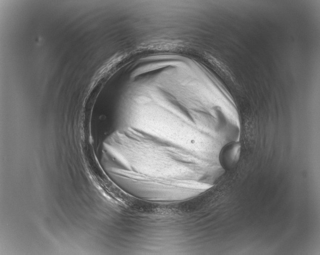 X0000080740682200701021147