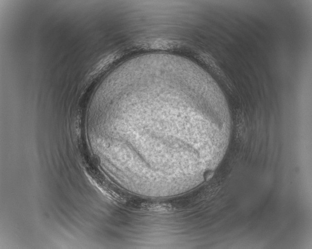 X0000080740683200701021147