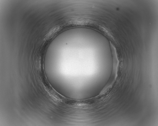 X0000080740685200701021147