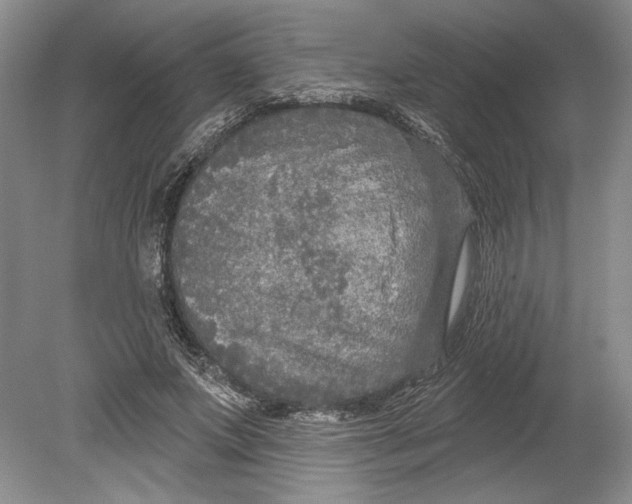 X0000080740687200701021147