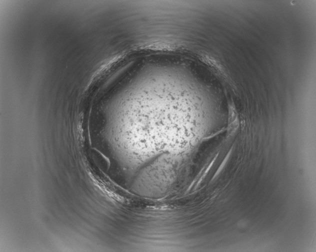 X0000080740688200701021147