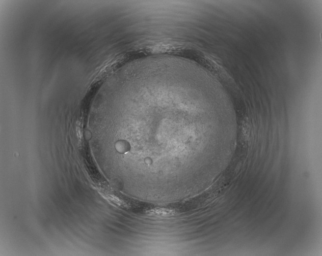 X0000080740691200701021147