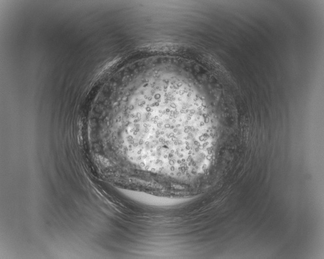 X0000080740692200701021147