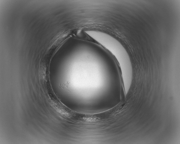 X0000080740693200701021147