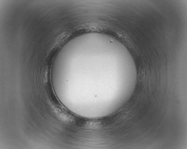 X0000080740694200701021147