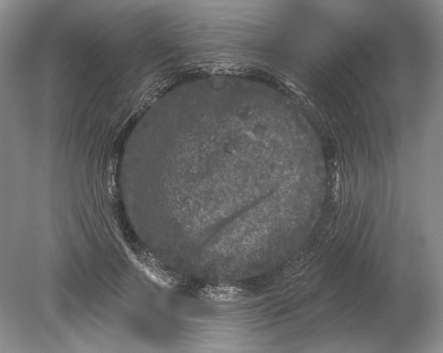 X0000080740695200701021147