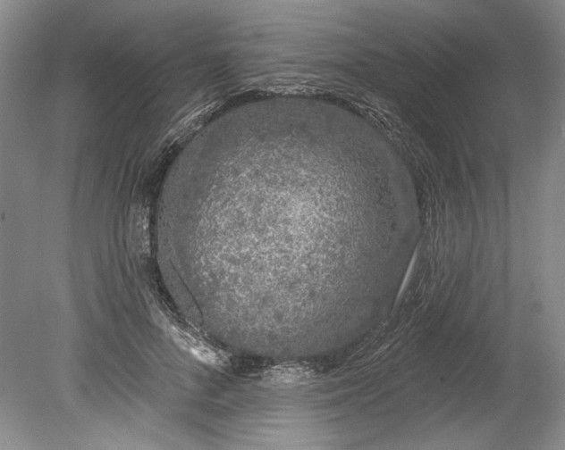 X0000080740696200701021147