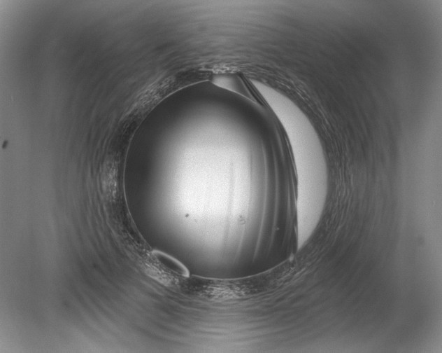 X0000080740697200701021147