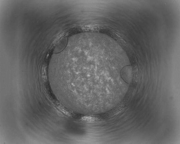 X0000080740699200701021147