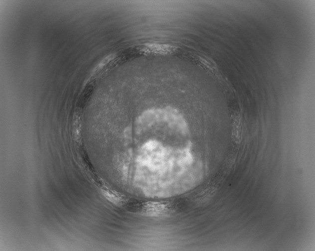 X0000080740701200701021147