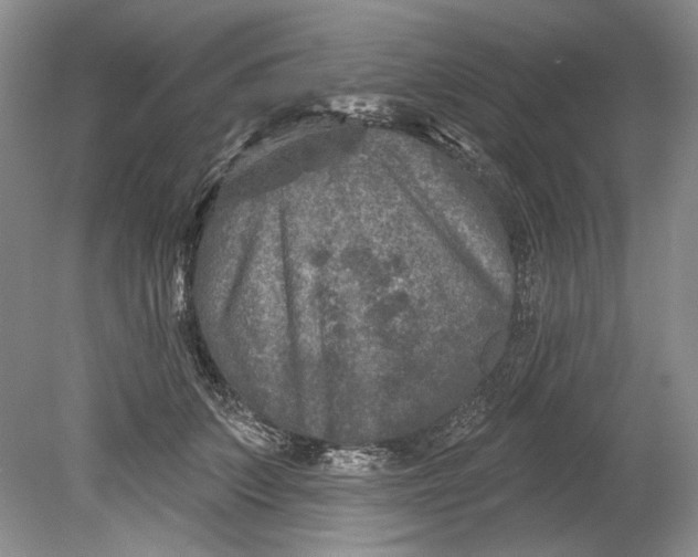 X0000080740703200701021147