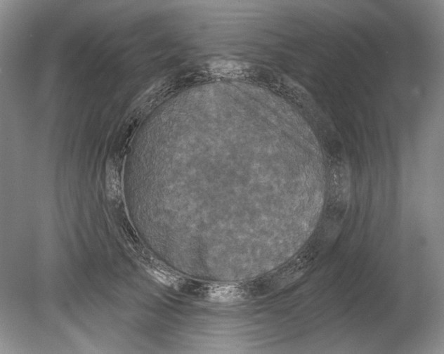 X0000080740705200701021147