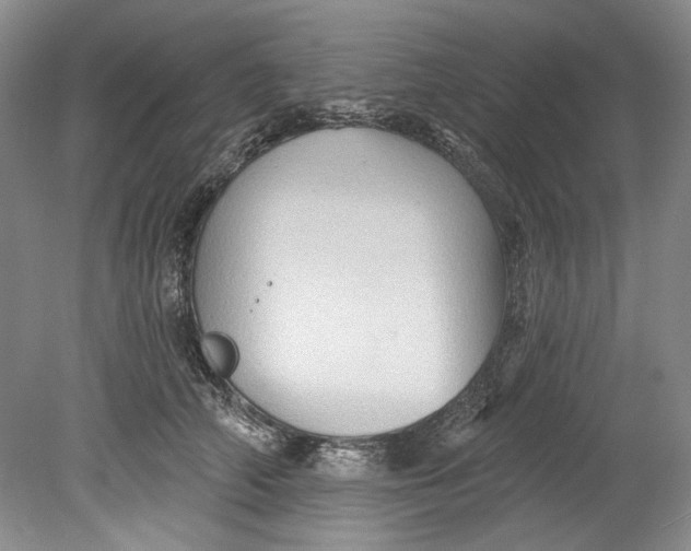 X0000080740706200701021147