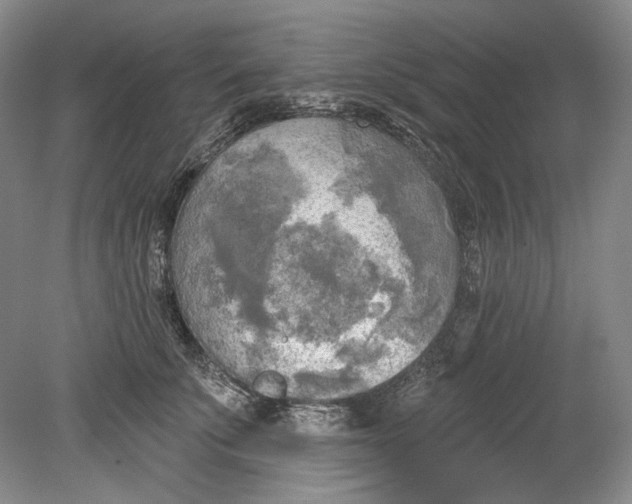 X0000080740707200701021147