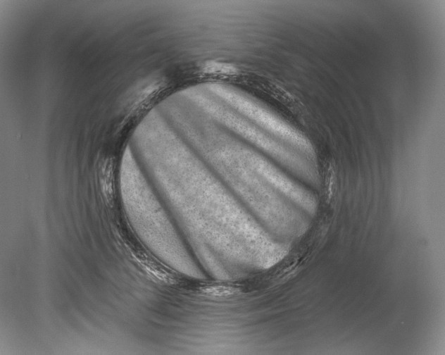 X0000080740708200701021147