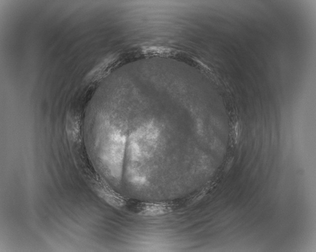 X0000080740709200701021147