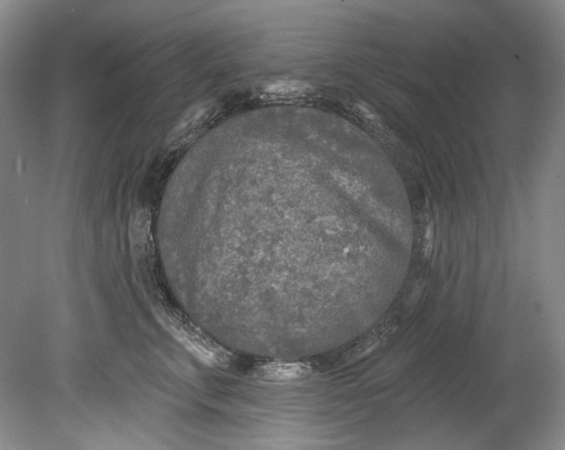 X0000080740711200701021147