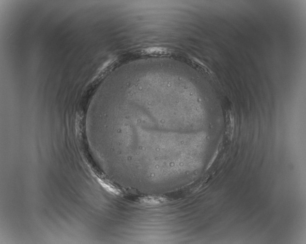 X0000080740712200701021147