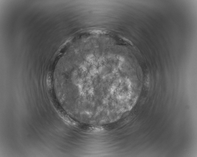 X0000080740715200701021147