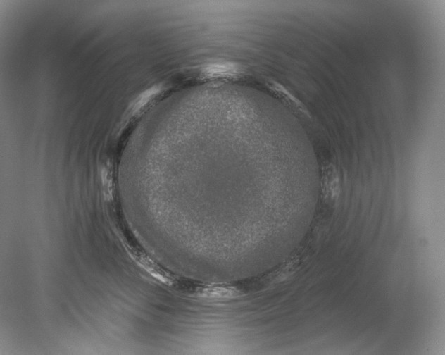 X0000080740716200701021147