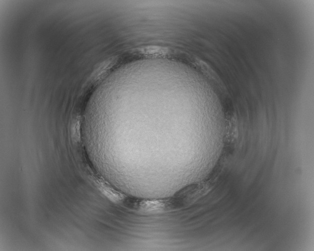 X0000080740717200701021147