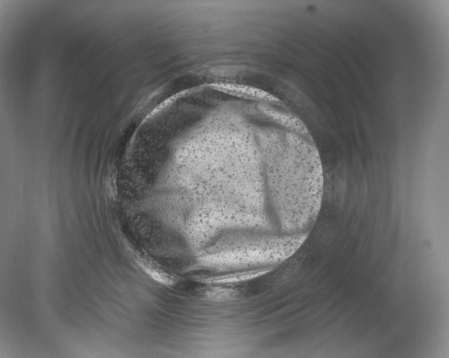 X0000080740718200701021147