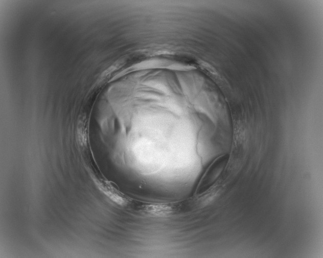 X0000080740719200701021146