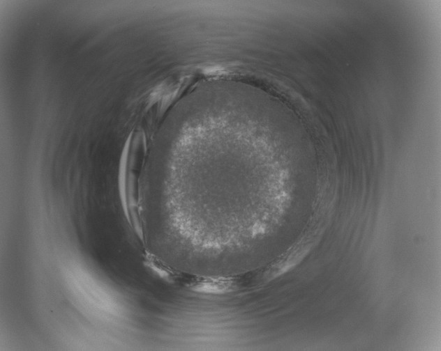 X0000080740720200701021146