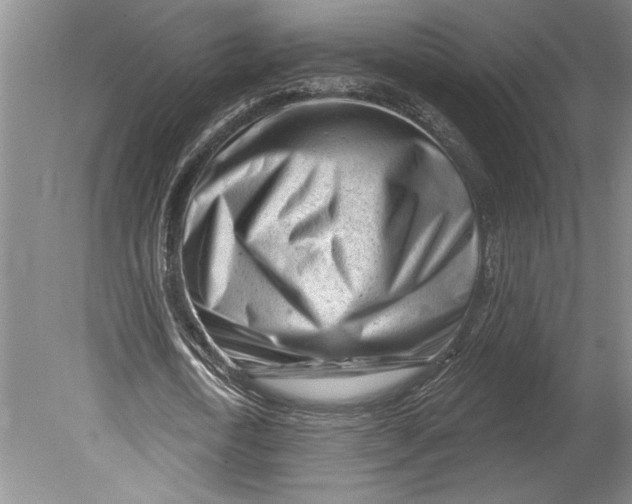 X0000080740722200701021146