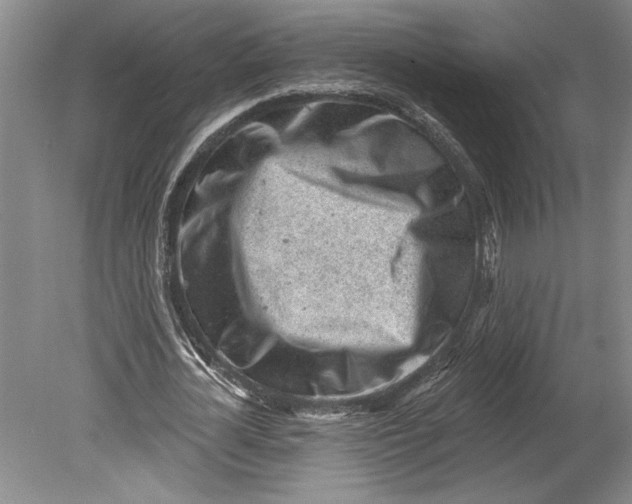 X0000080740724200701021146