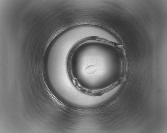 X0000080740725200701021146