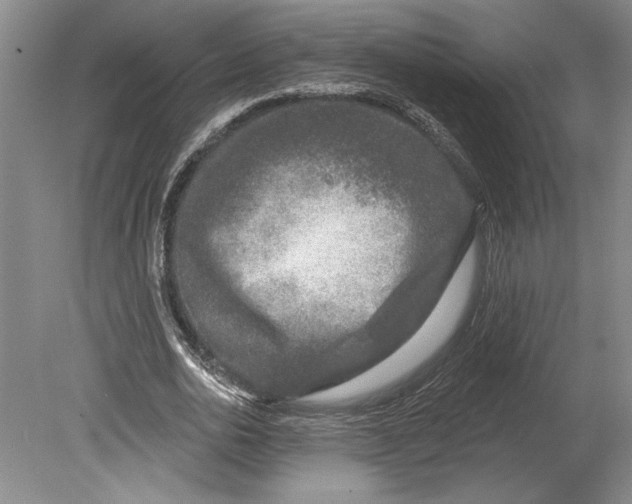 X0000080740726200701021146