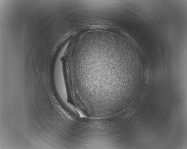 X0000080740729200701021146