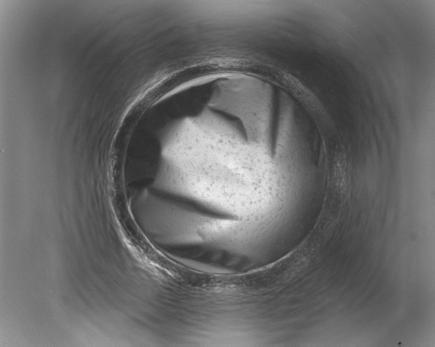 X0000080740730200701021146