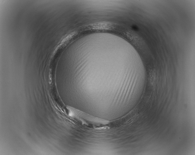 X0000080740731200701021146