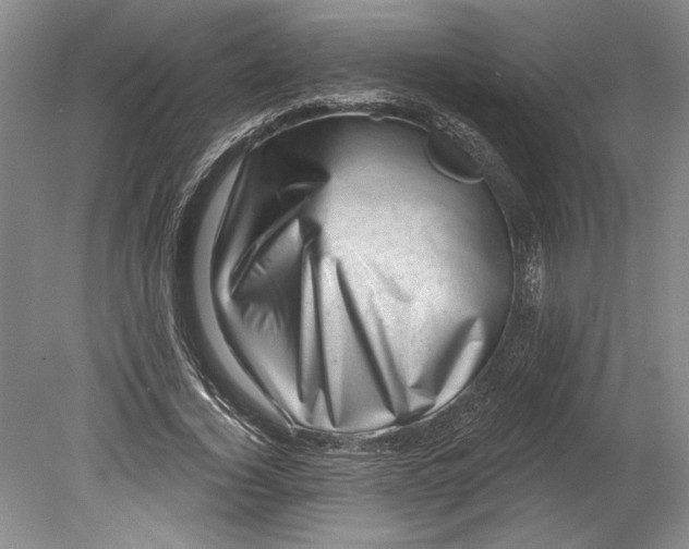 X0000080740732200701021146