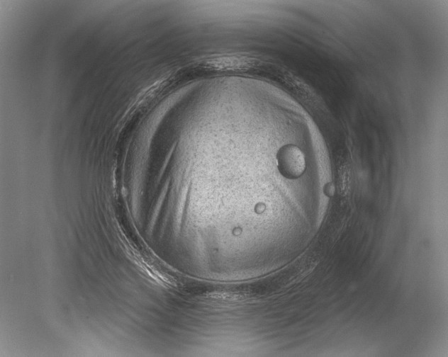 X0000080740733200701021146