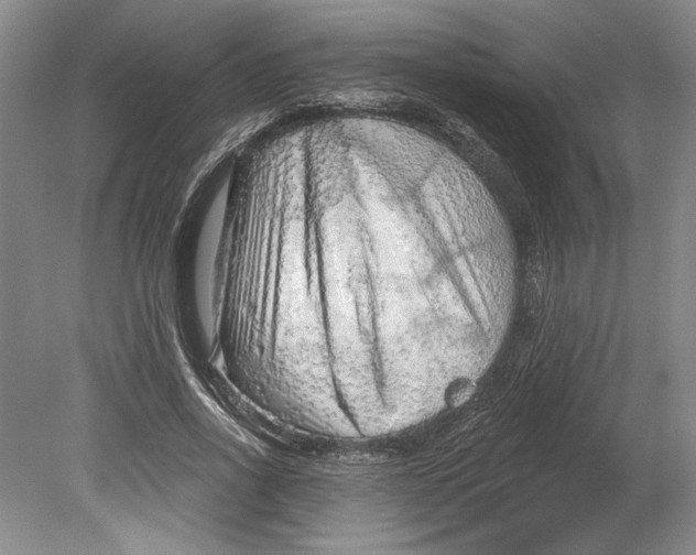 X0000080740734200701021146