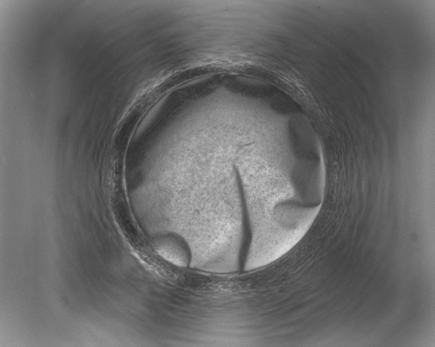 X0000080740736200701021146