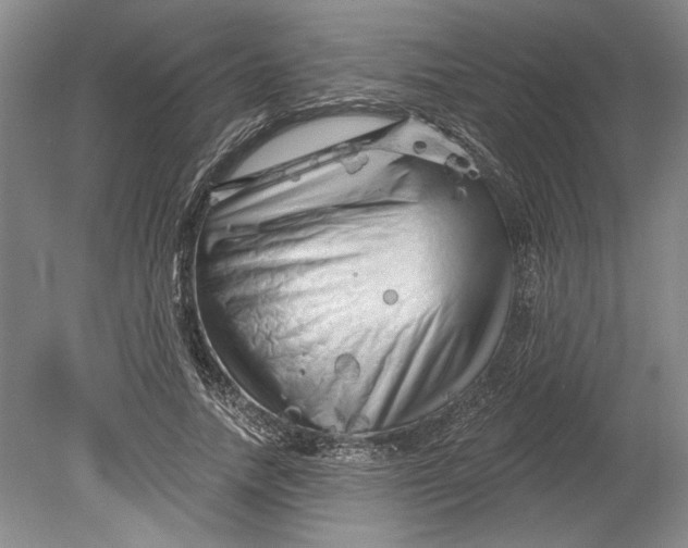 X0000080740738200701021146