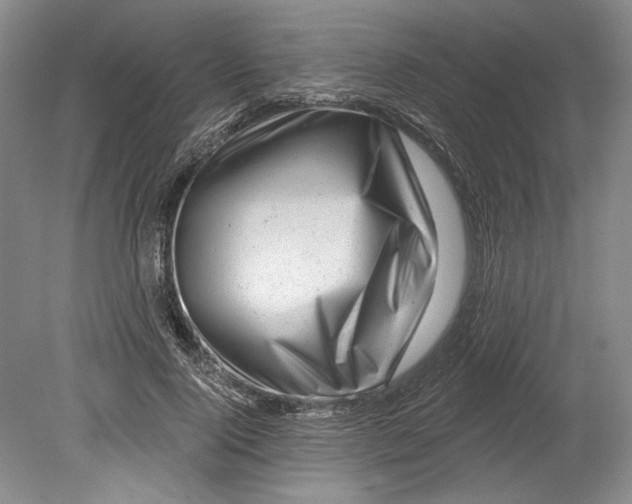 X0000080740740200701021146