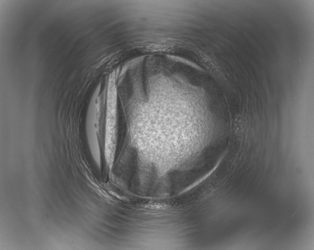 X0000080740741200701021146