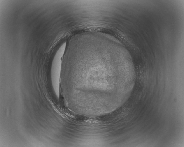 X0000080740742200701021146